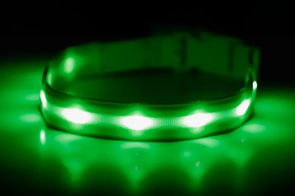 Blazin LED Dog Collar