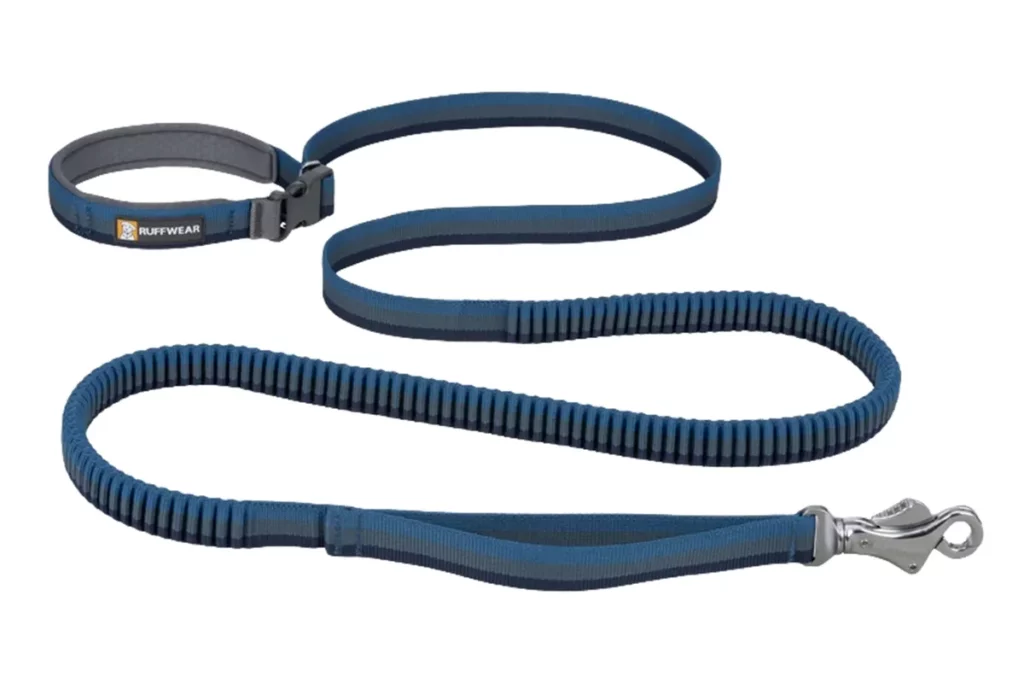 Dog Bungee Leash