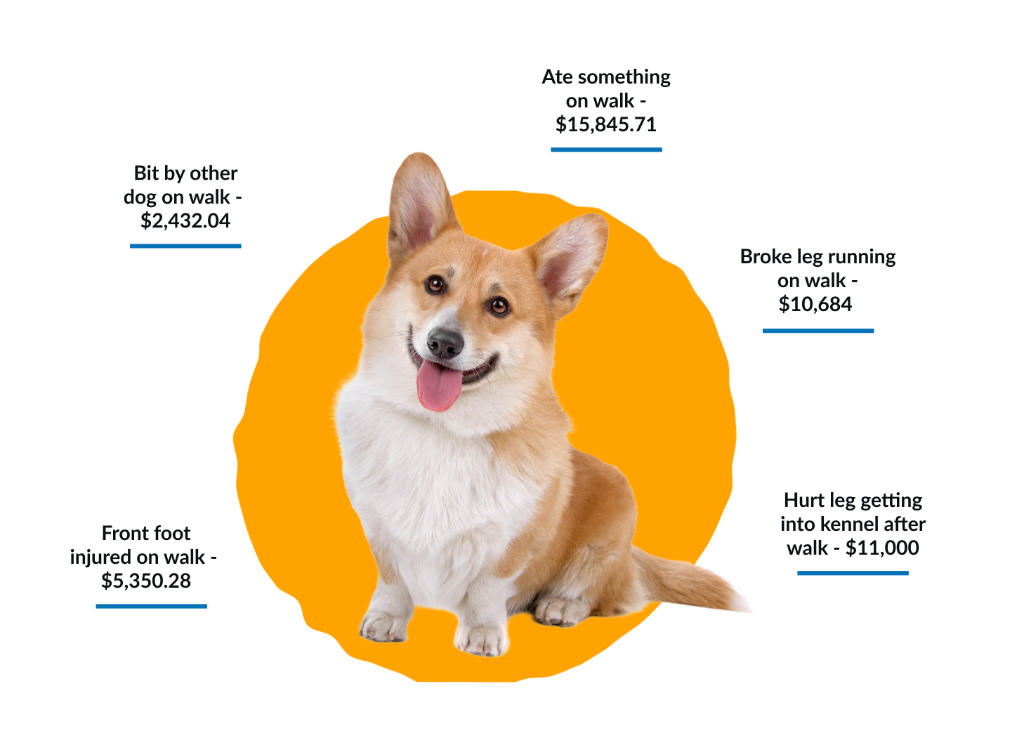 Dog Walking Insurance Business Insurance for Dog Walkers