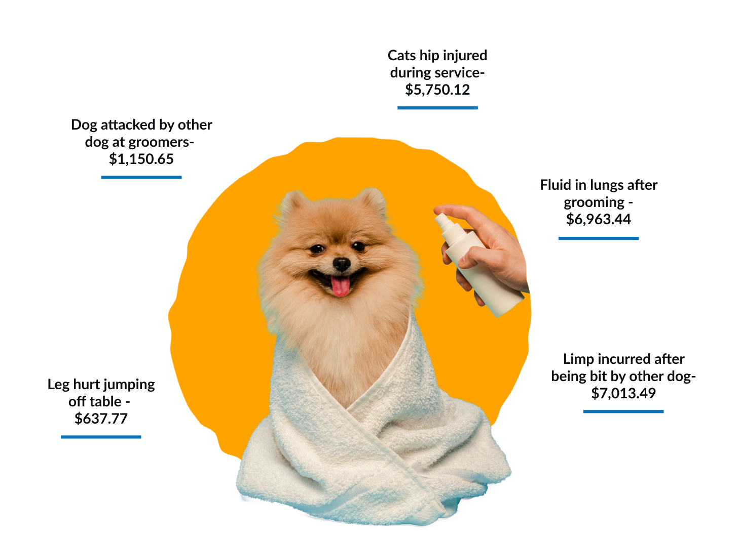 Dog & Pet Grooming Business Insurance PCI