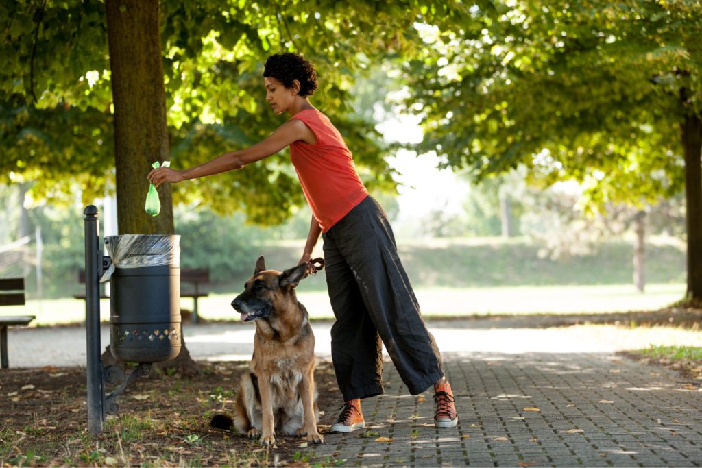 woman throwing away poop bag with german shepherd on walk