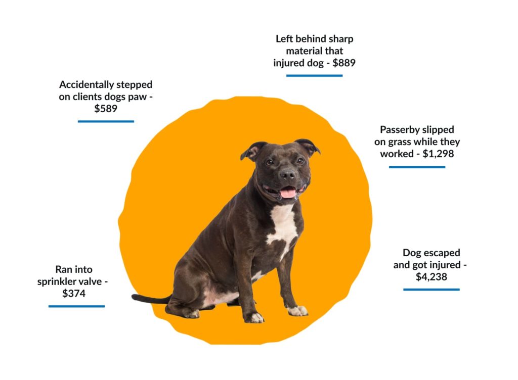 Pooper Scooper Insurance Pet Waste Business Insurance