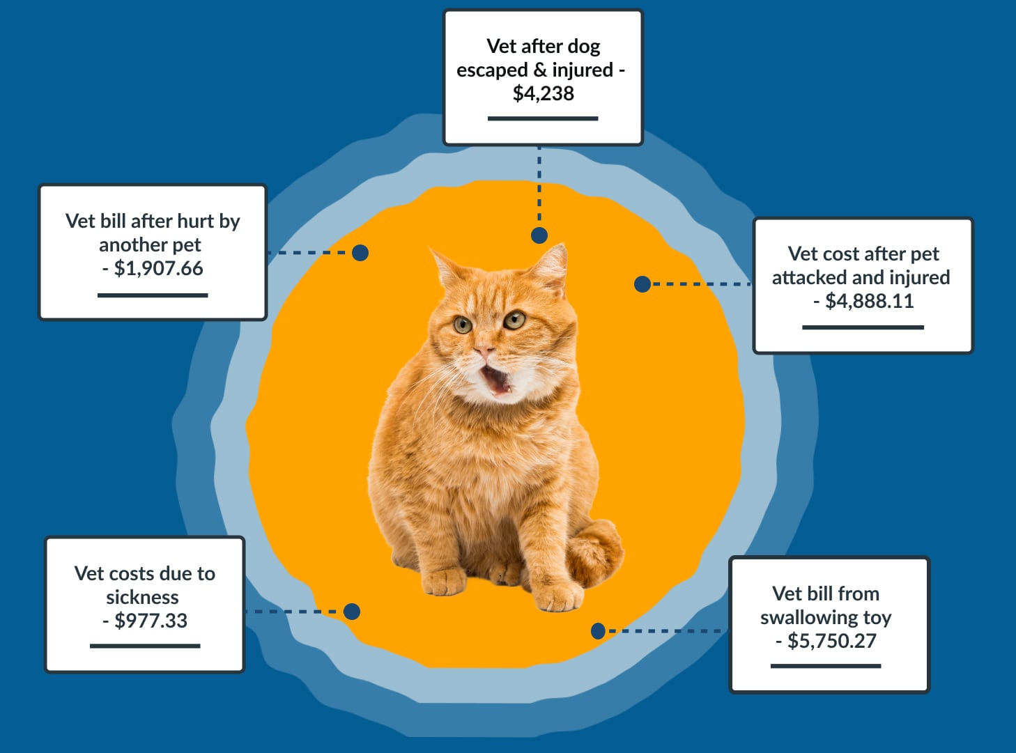 Vet Bill Reimbursement Coverage Pet Care Insurance