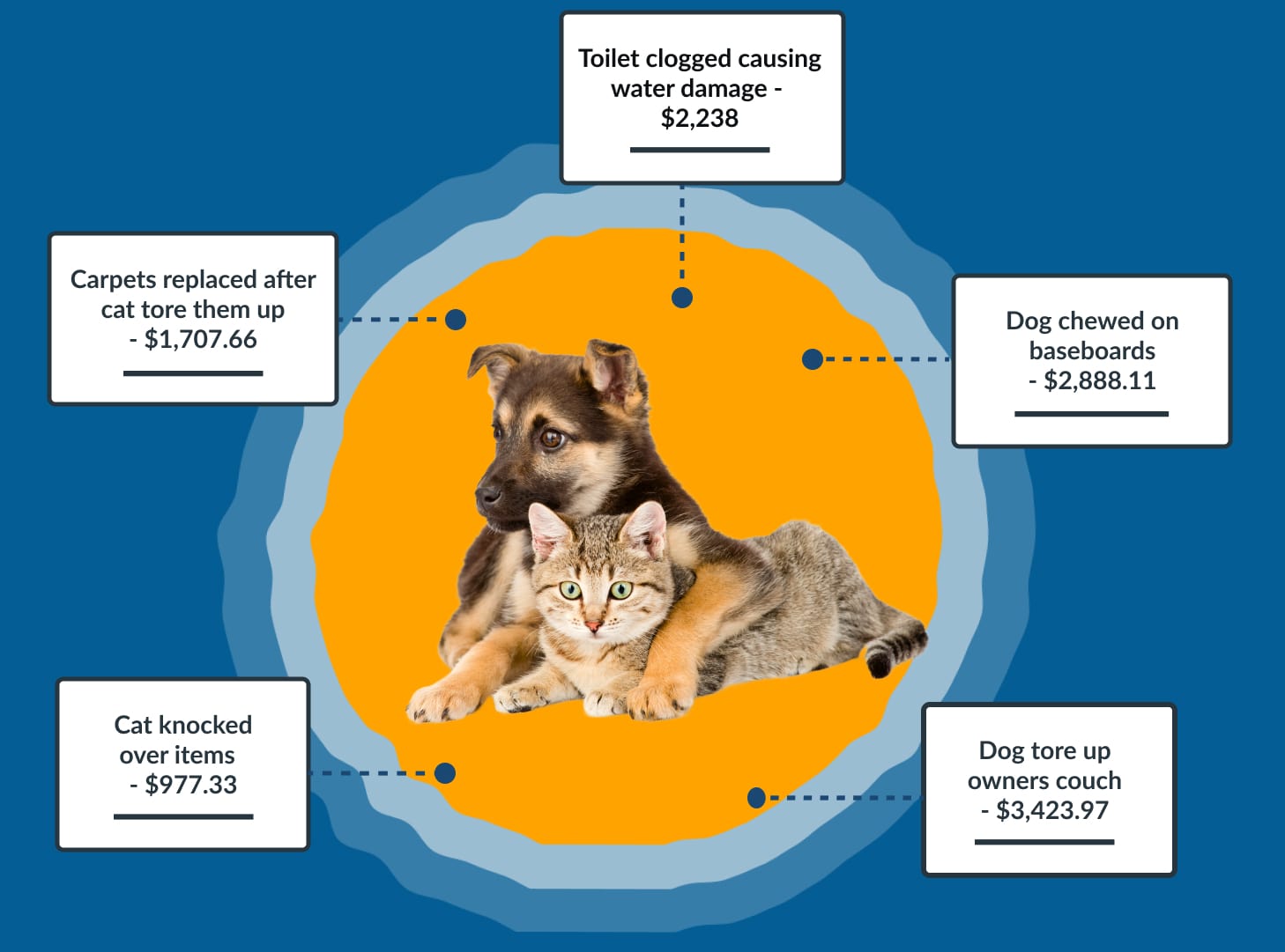 Broadened Property Damage Coverage Pet Care Insurance