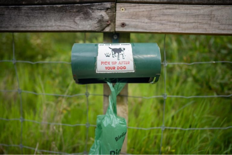 Pet Waste Removal Start a Pooper Scooper Business