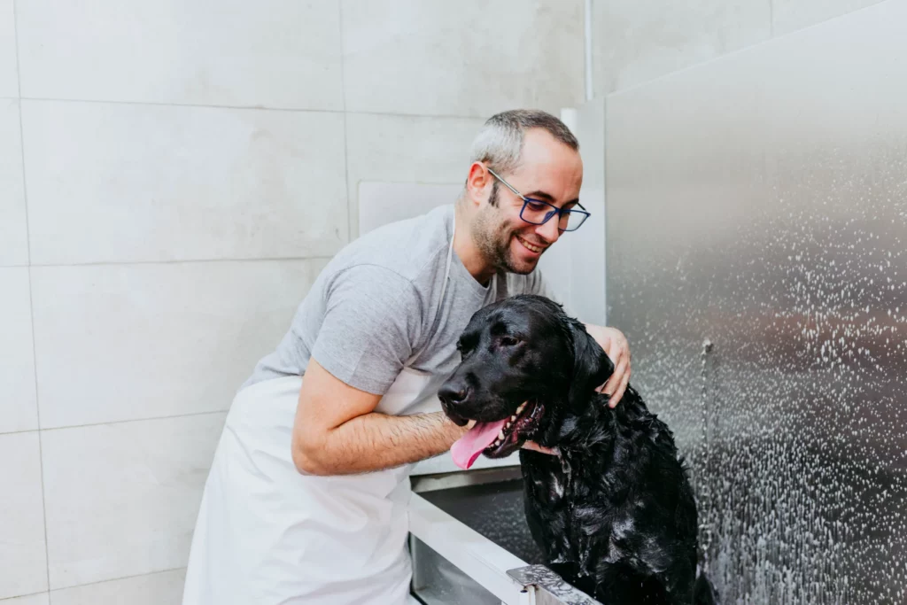 Pet bather helps a large black dog out of a grooming tub
