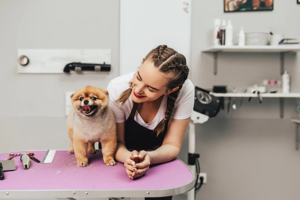 Groomer smiles at a pomeranian standing next to her on a grooming table