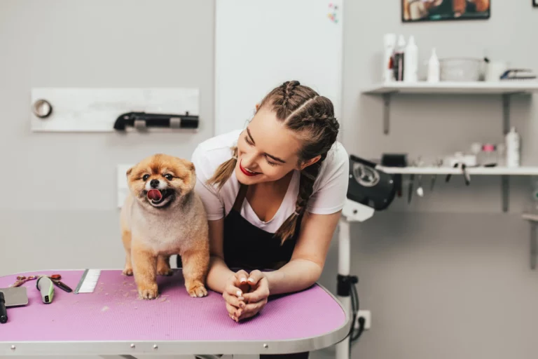 Groomer smiles at a pomeranian standing next to her on a grooming table