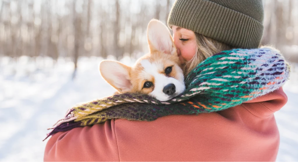 Pet caregiver holds dog in a wintry outdoor scene