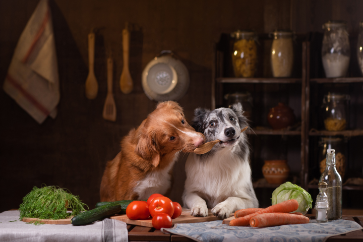 Two dogs cooking together.