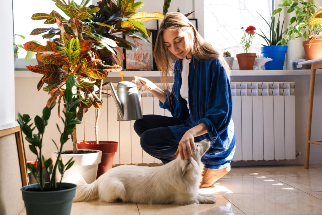 Pet sitter waters clients' houseplants and pets a small dog