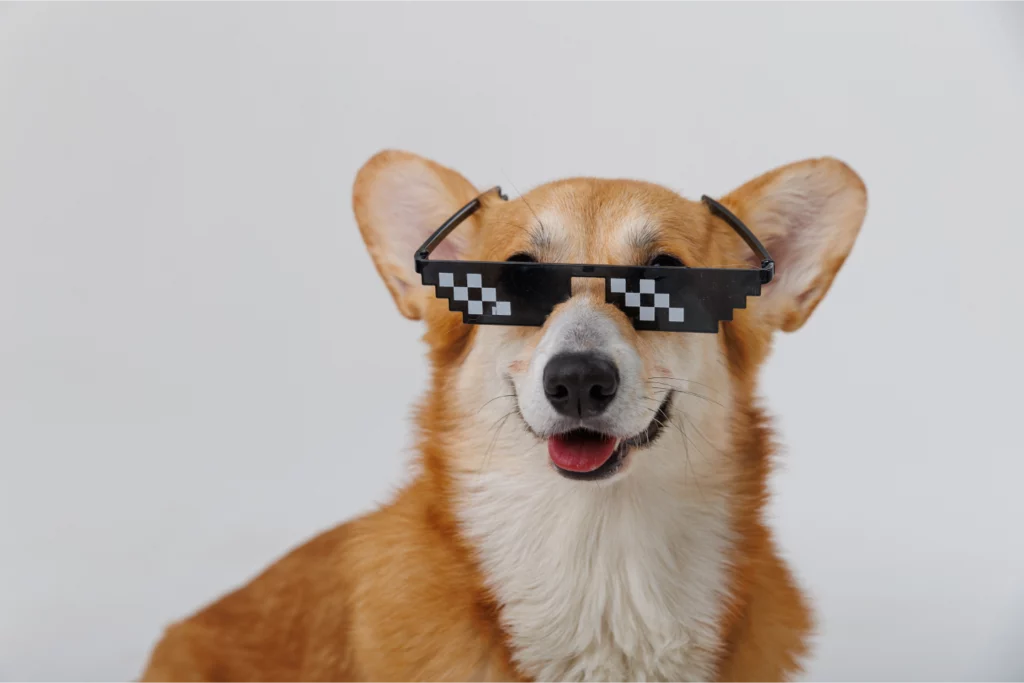 A smiling corgi wears pixelated sunglasses, concept of pet trends