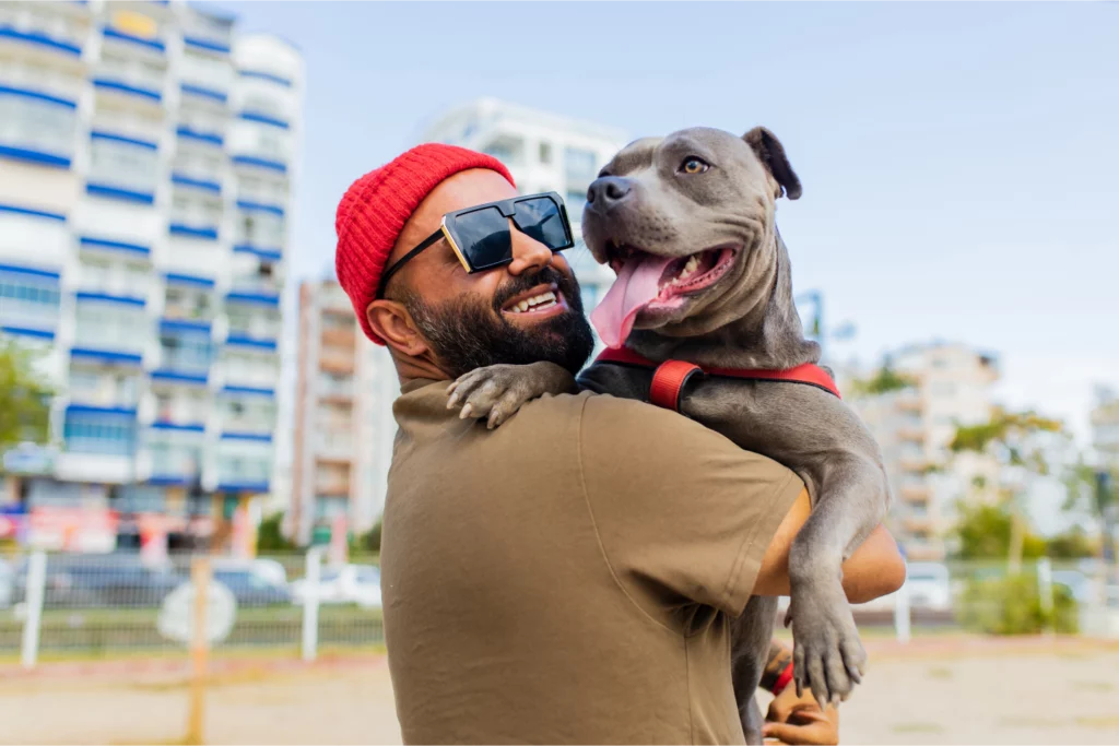 Dog walker wearing sunglasses and a beanie holds a pitbull wearing a harness outdoors in a city setting.
