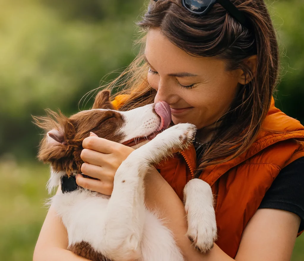 smiling Woman holds white dog with brown spots as it licks her face