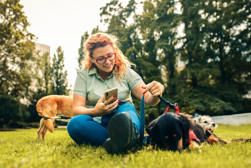 Dog walker uses pet business software app on her phone while resting with dogs in a park