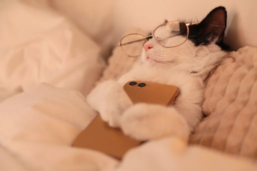 Cat wearing glasses is sleeping in a bed and clutching a phone in its paws