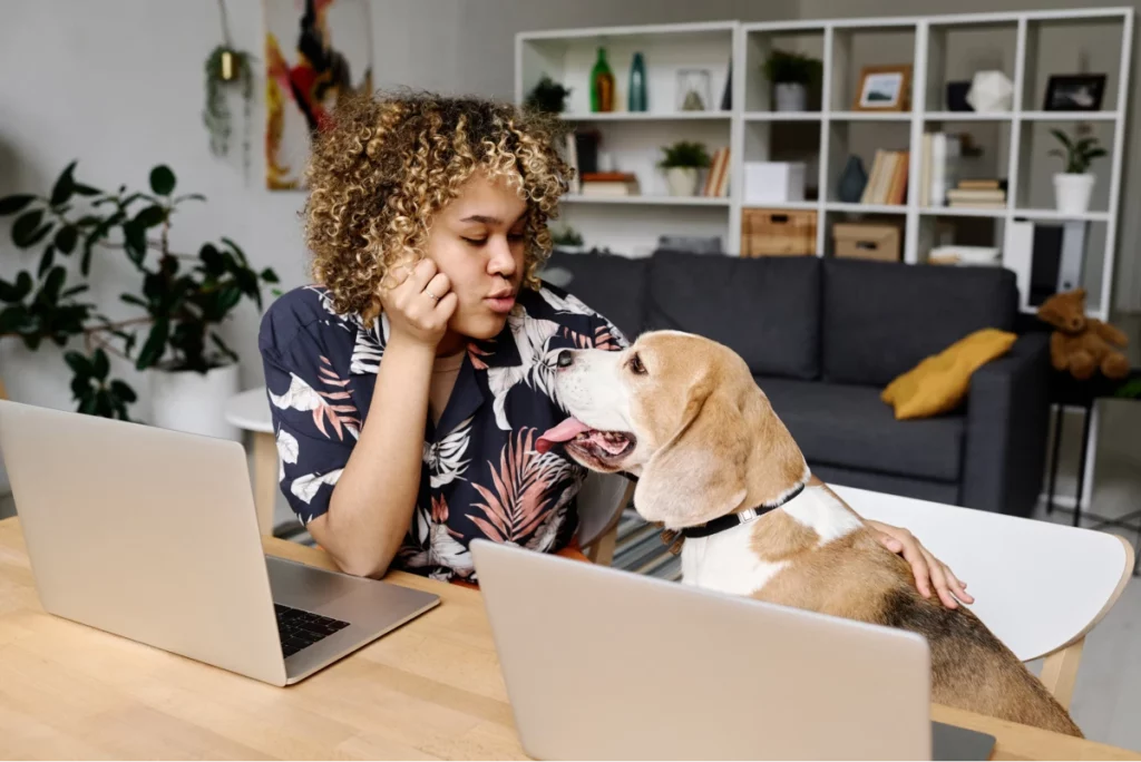 Pet sitter pets a dog while working on her laptop in a home