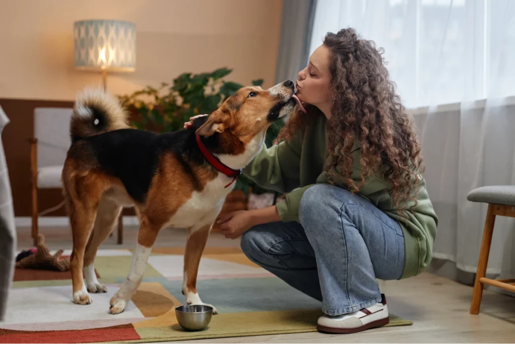 Pet sitter feeds a dog in a client's house and gets puppy kisses.
