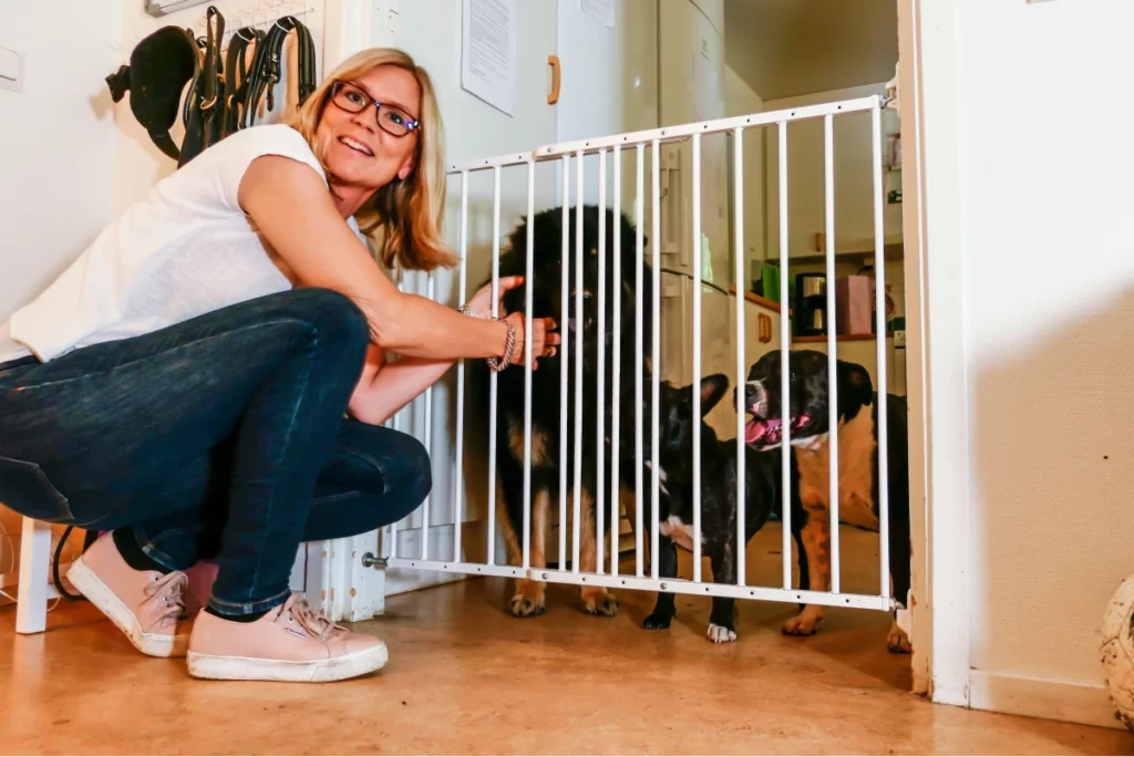 A home pet boarder kneels at a pet gate with three dogs on the other side.