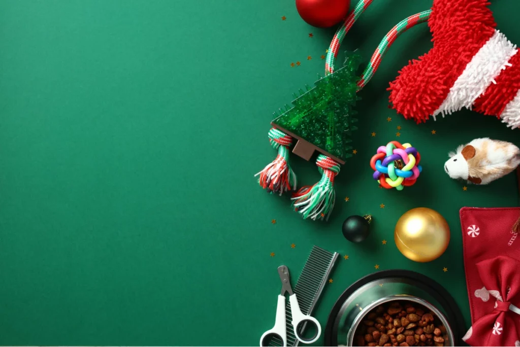 Flatlay of holiday themed pet care supplies